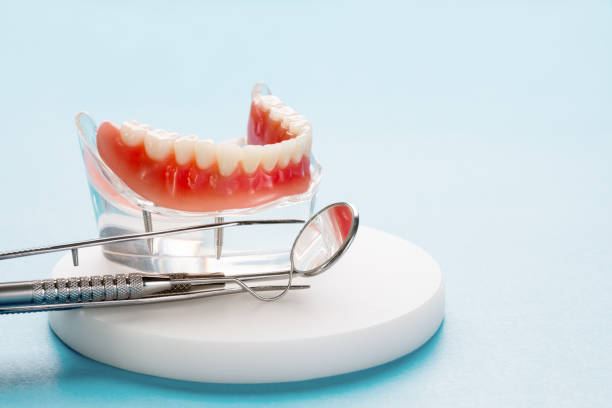 Best Traditional Braces  in Spencer, WV
